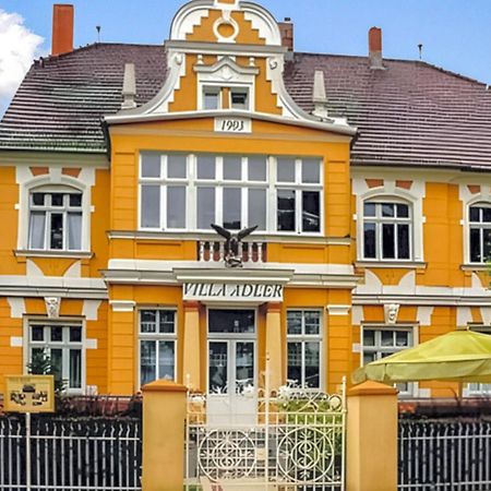 Ferienwohnung Ahlbeck Seebad Heringsdorf Dış mekan fotoğraf